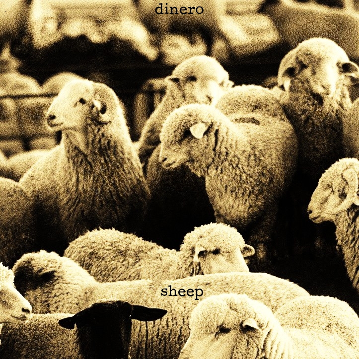 Dinero Sheep