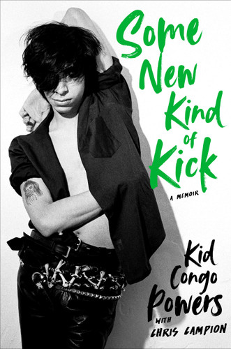 Some New Kind of Kick book cover